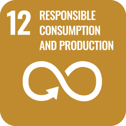 Responsible Consumption and Production